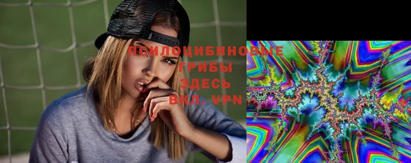 прущий лед Алексеевка