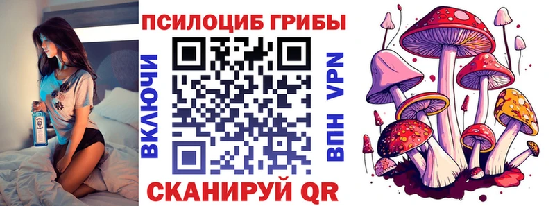 Галлюциногенные грибы Magic Shrooms  цена наркотик  Богородск 