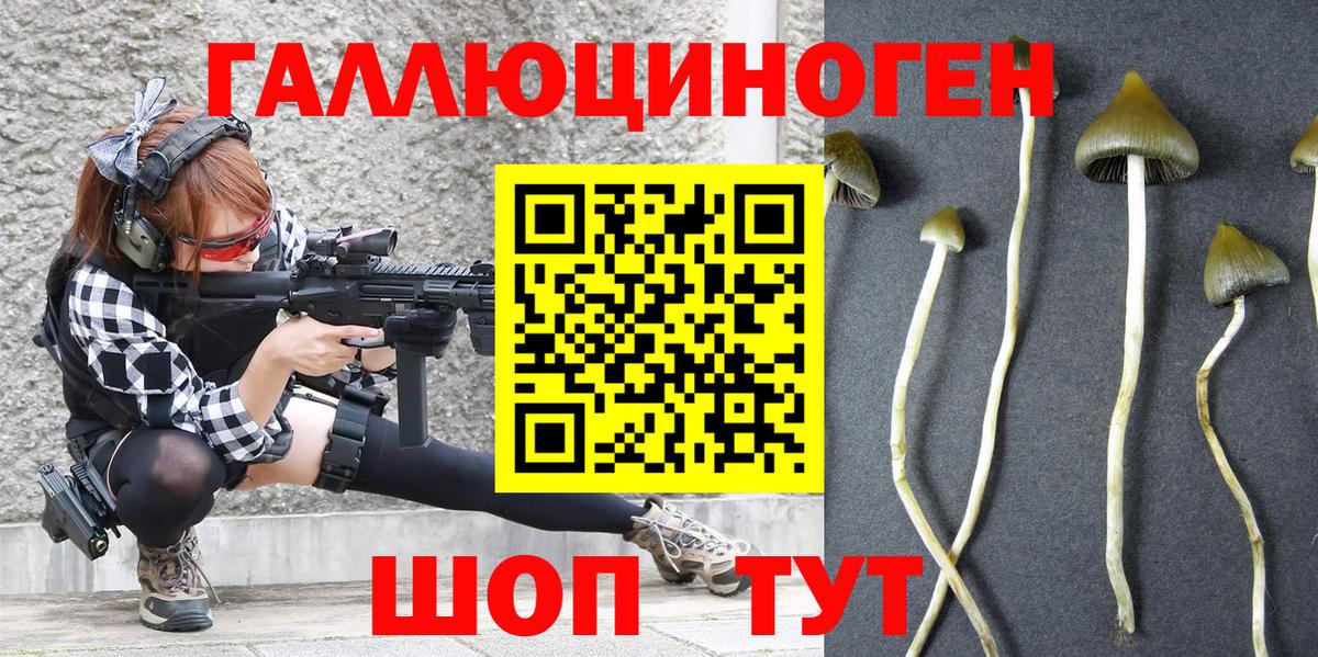 Псилоцибиновые грибы Cubensis Богородск